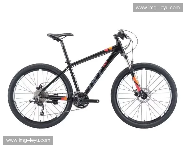 山地车战报：一场泥土与速度的浪漫宣言