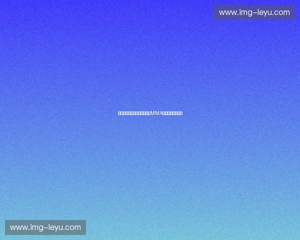 传奇的碰撞：菲多与席尔瓦，MMA历史上的不朽篇章